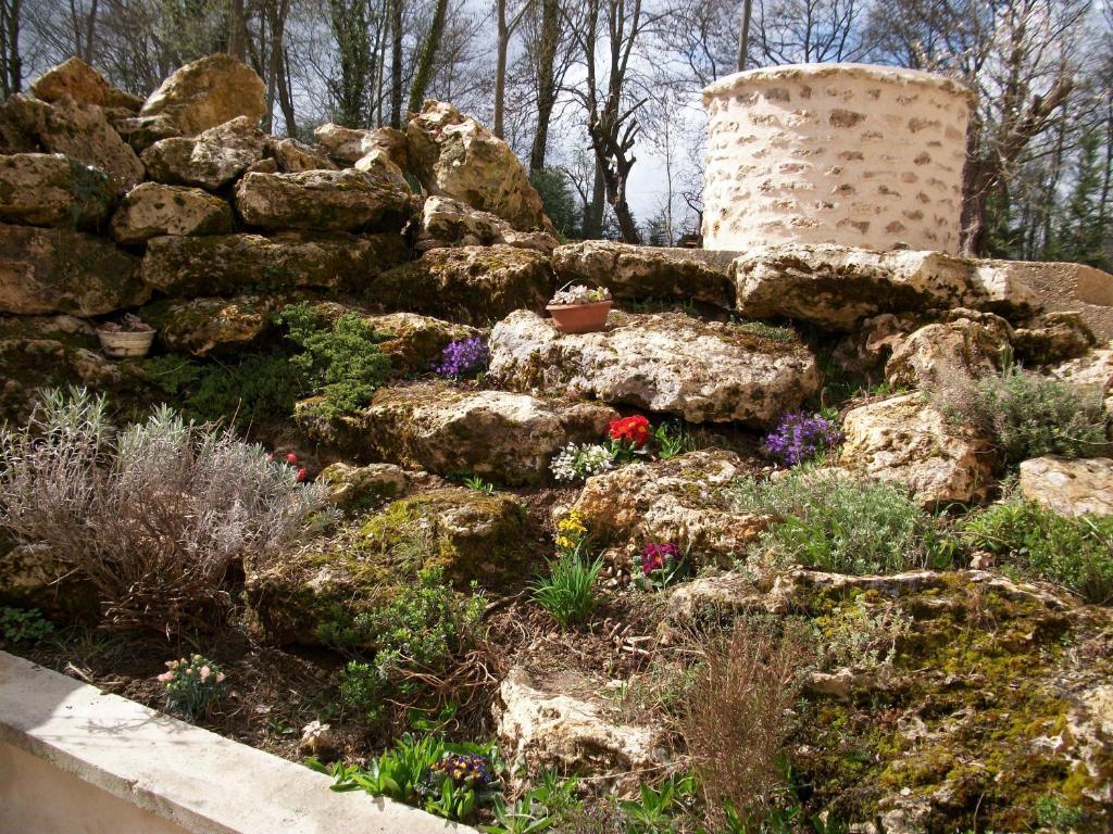 Chambre D'Hote Moulin Du Ru Aulnoy Exterior photo